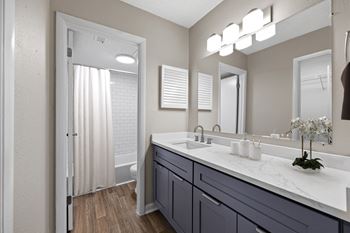 Renovated bathroom with Grey Cabinets